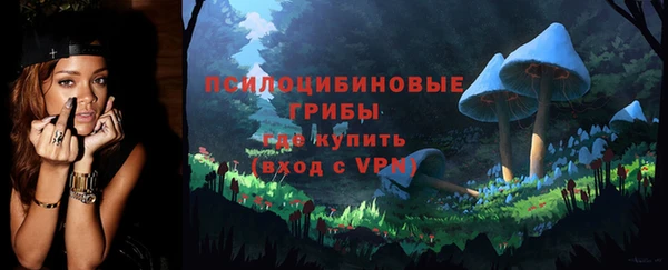 apvp Богородск