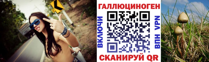 Галлюциногенные грибы прущие грибы  ссылка на мегу вход  Клин 